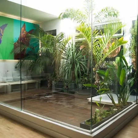 Casa Exclusiva Al Lado De La Playa Vakantiehuis San Andrés